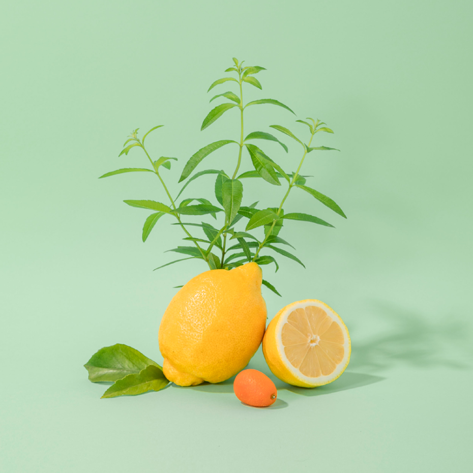 Savon Liquide de Marseille Verveine Fraîche - Compagnie de Provence