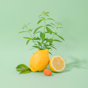 Savon Liquide de Marseille Verveine Fraîche - Compagnie de Provence